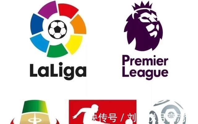 任意味着不 任意味着不