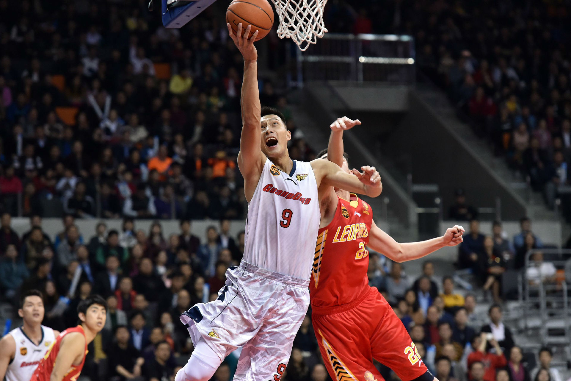 斑马军团 斑马军团